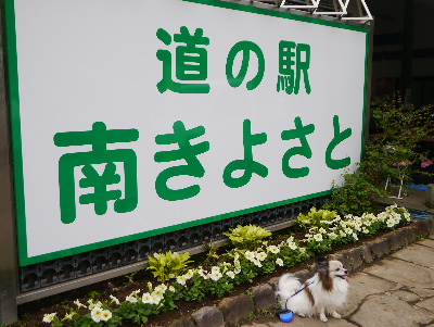 清里1