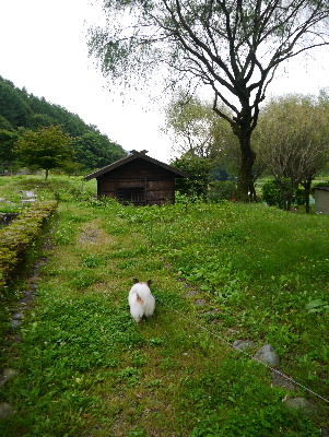 清里4