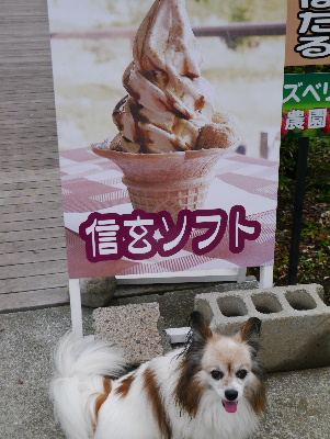 清里6