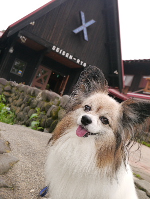 清里13