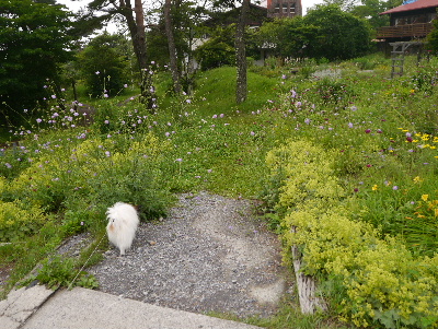 清里14
