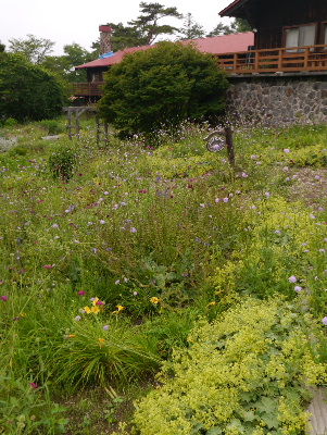 清里18