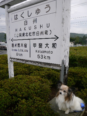 清里3−5