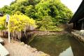 izumo 042