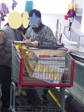 楓 初のコストコ