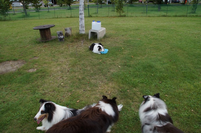 DSC07941120901.jpg