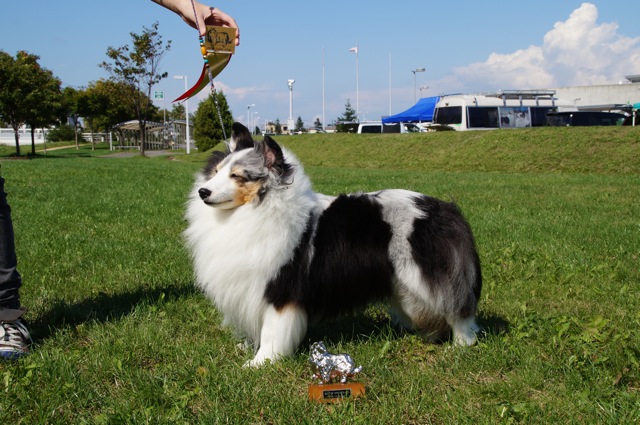 DSC08823120923.jpg