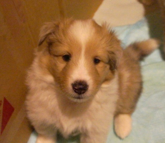 DSC09472121206.jpg