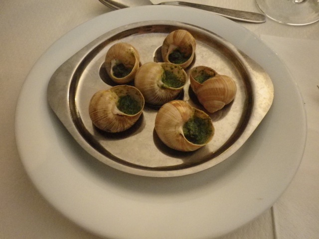 IMGP1675121207.jpg