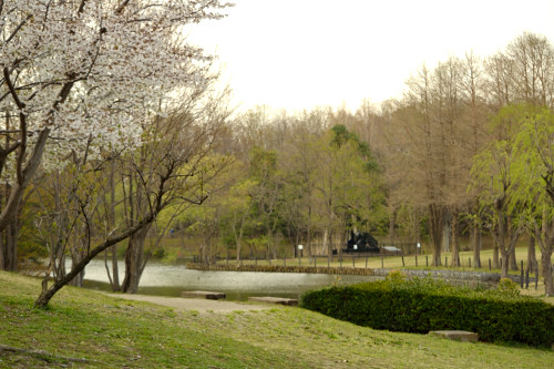 DSC_0015_03.jpg