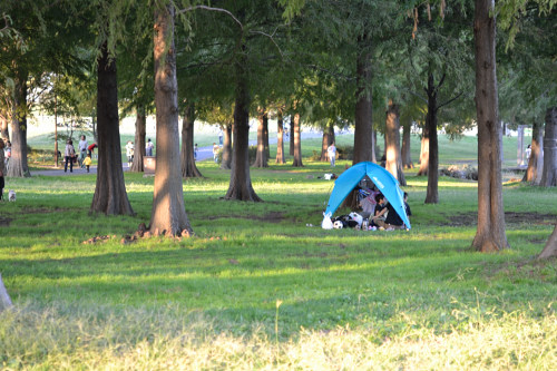 DSC_0221_02.jpg