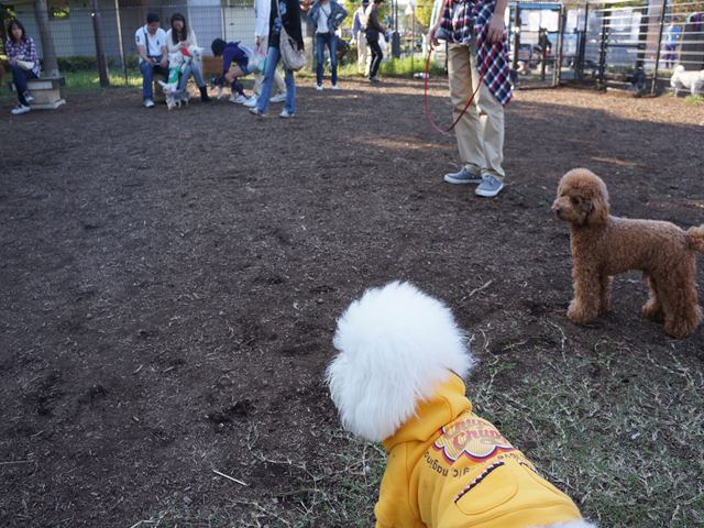 DSC02454_R.jpg