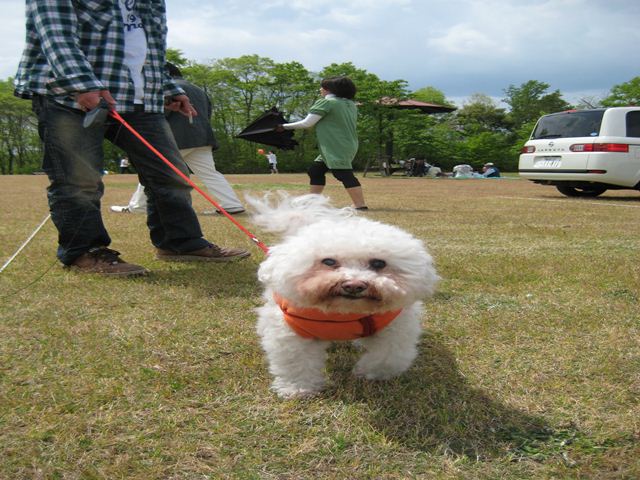 IMG_2243_R.jpg