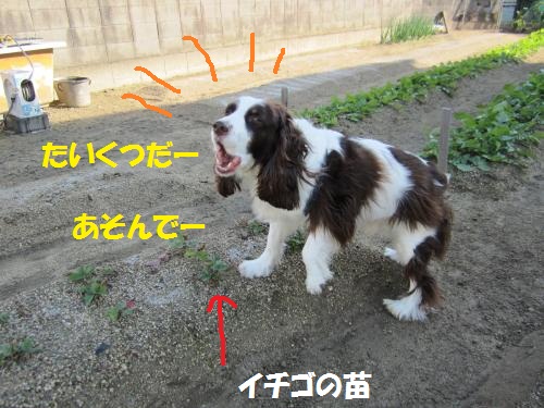 たいくつ