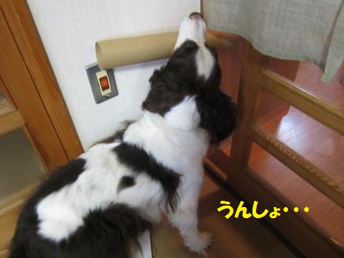 うんしょ