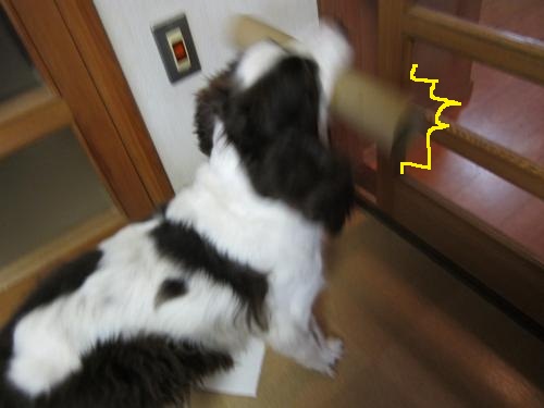 当たる