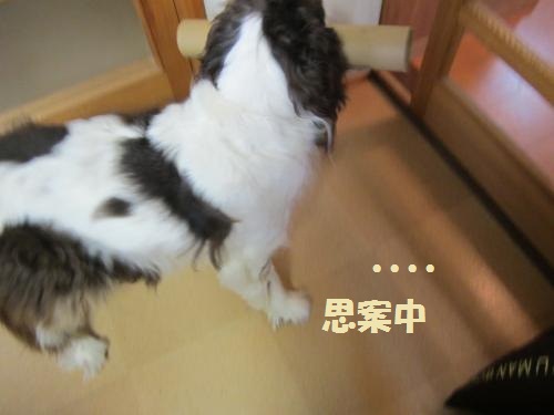 思案中2