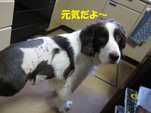 元気だよ~