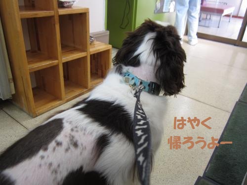 はやく帰ろう