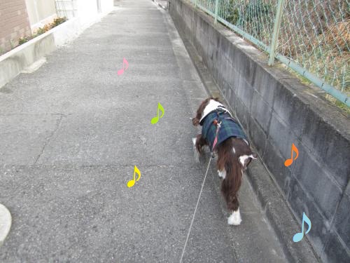 ♪
