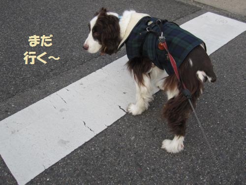 まだ行くー