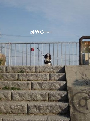 はやくー