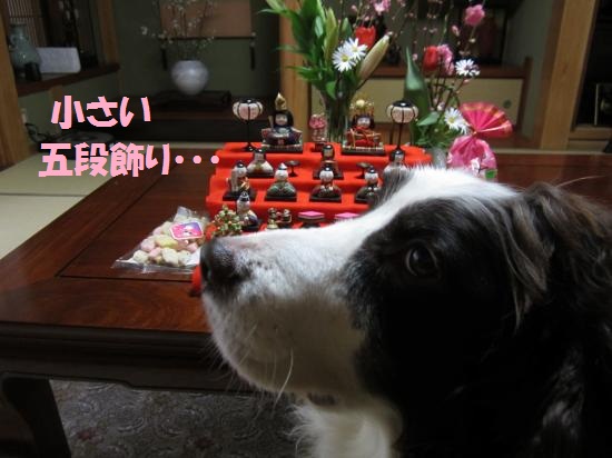 五段飾り