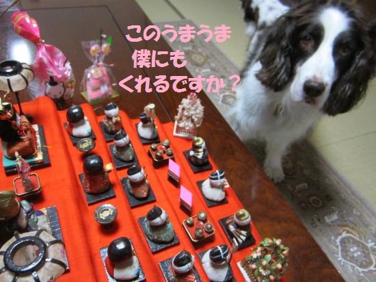 ひな祭りうまうま