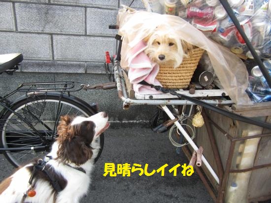 見晴らしイイね