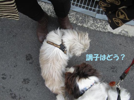 ぺぺ君2