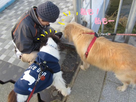 うまうま2