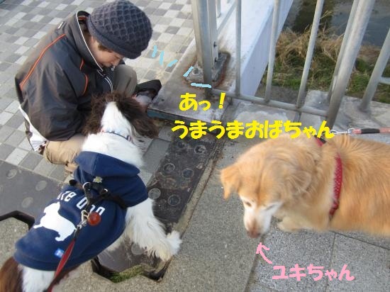 うまうまおばちゃん3