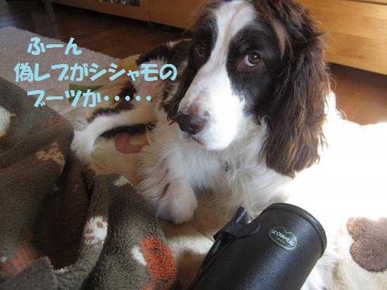 シシャモのブーツ