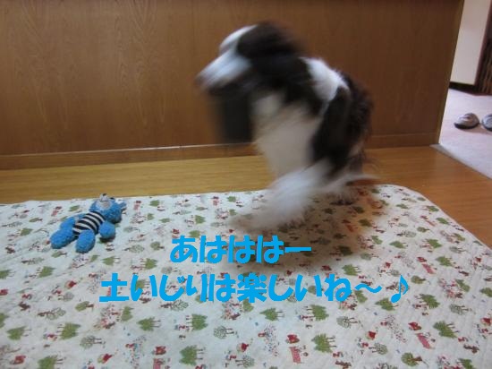 あははは土いじり