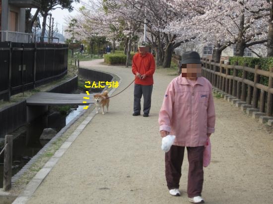 りんちゃん