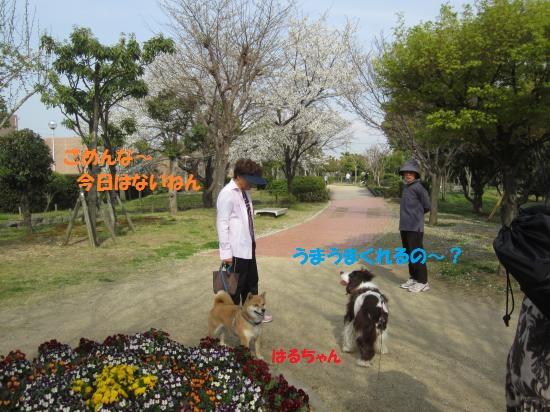 はるちゃん