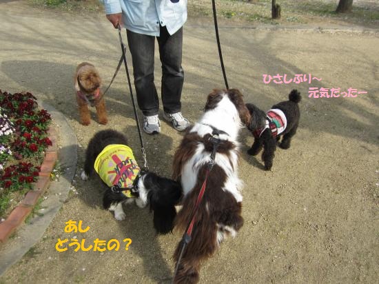 3人組
