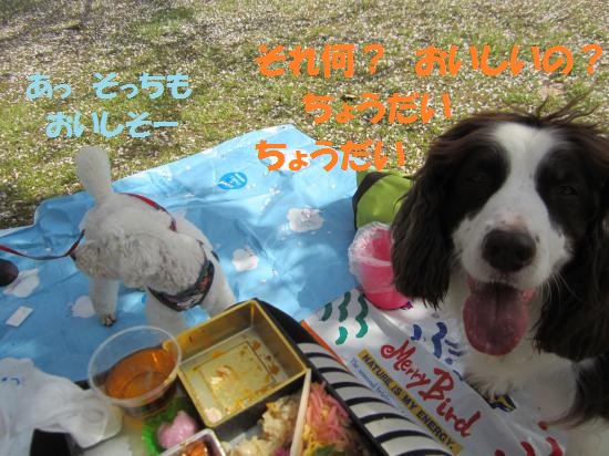 グッディとチャッピー
