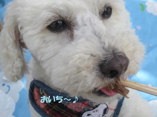 おいち~♪
