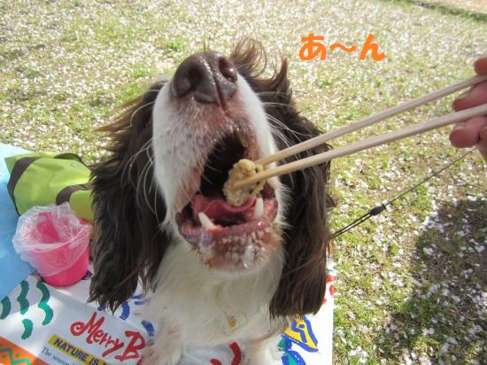 あ~ん