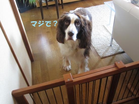マジで1