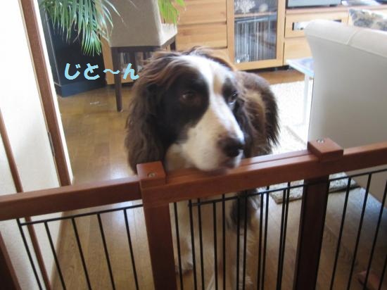 じと~ん