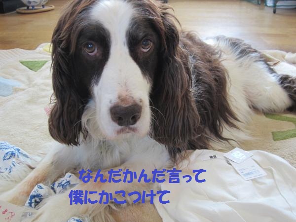 UNIQLO1