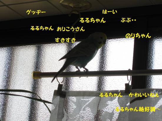 るる絶好調
