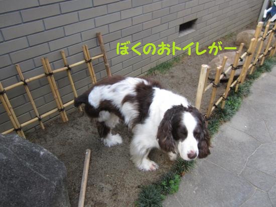 ぼくのおトイレがー