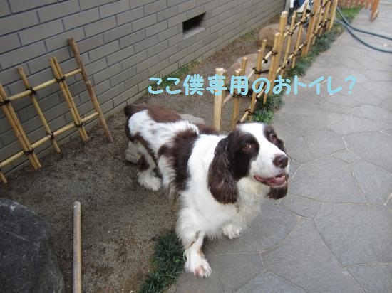 ぼく専用のおトイレ