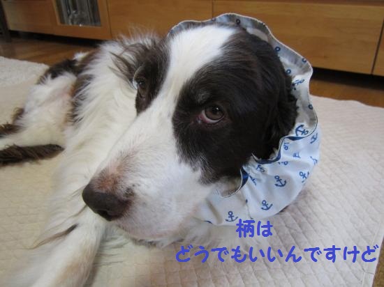 5月30日2