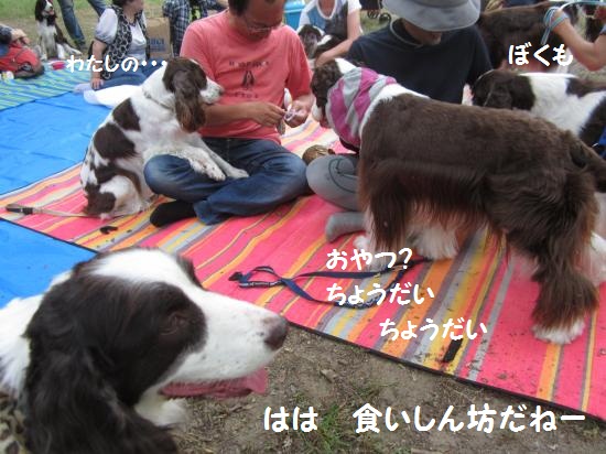 オフ会3