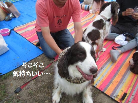 そこそこ