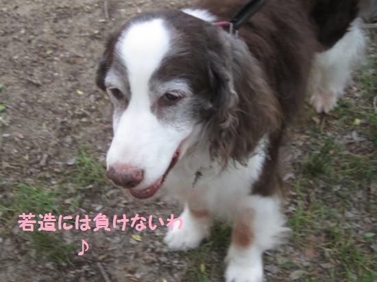 実実ちゃん
